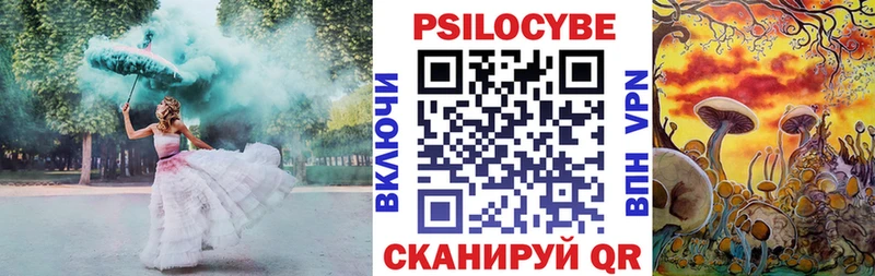 дарнет шоп  Ялуторовск  нарко площадка наркотические препараты  Галлюциногенные грибы Cubensis 