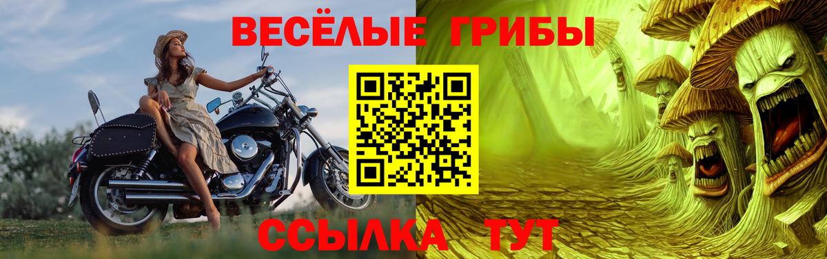 Псилоцибиновые грибы ЛСД Ялуторовск