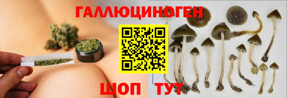 Галлюциногенные грибы прущие грибы  Вход с VPN  Ялуторовск 